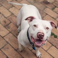 Photo of Ghost