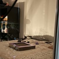 Photo of Penny & Essie 