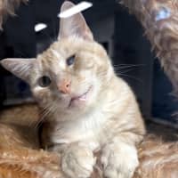 Photo of Pluto Sta012999