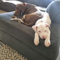 Photo of Winifred (Winnie)