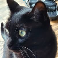 Photo of Sara & Marley