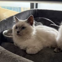Photo of Elio