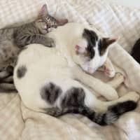 Photo of Wilson 🤍