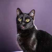 Photo of Betty
