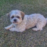 Photo of Peaches