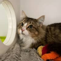 Photo of 🧭 Elijah 5198 🧭