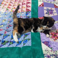 Photo of Tully