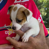 Photo of Tinker Bell