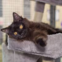 Photo of Eddie