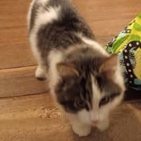 Photo of Stormy Von Bunny Bum 