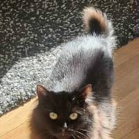 Photo of Maggie