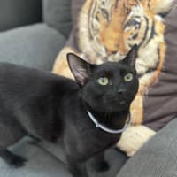 Photo of Roland (0157)