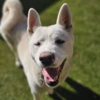 Photo of Lala