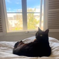 Photo of Mabel 