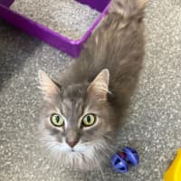 Photo of Georgie And Mr Biscuit