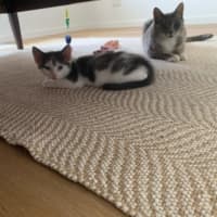 Photo of Ari And Gizmo