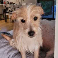 Photo of Jolene