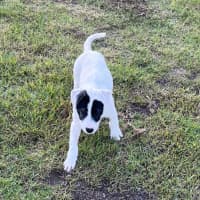 Photo of Tia Leighdara