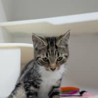 Photo of 🎣 Klaus 6750 🎣