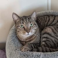 Photo of Storm