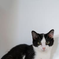 Photo of Steve