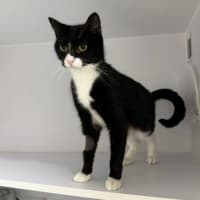 Photo of Nyx