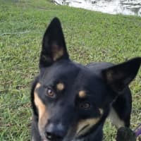 Photo of Cash