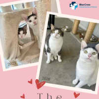 Photo of Molly And Mandy