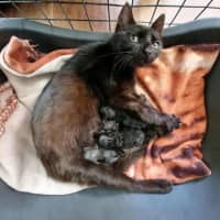Photo of Sally