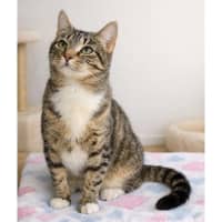 Photo of 14236   Skye