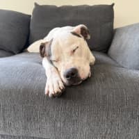 Photo of Frank Costanza