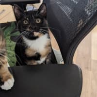 Photo of Miss Marple