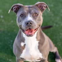 Photo of Versace Imp 1821