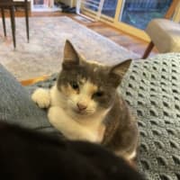 Photo of Clementine