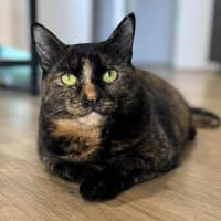 Photo of 6193   Minnie