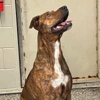 Photo of Winnie