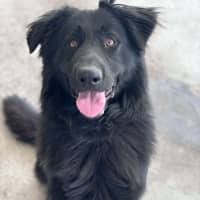 Photo of Jagger Imp 1613