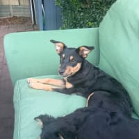 Photo of Felicity