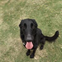 Photo of Nyla