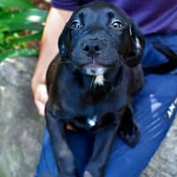 Photo of Madame Squish