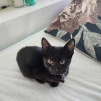 Photo of Poe