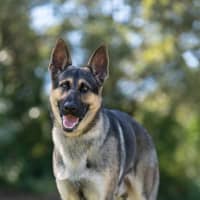 Photo of Storm