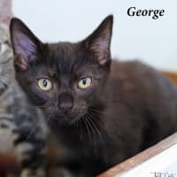 Photo of George