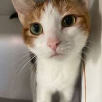 Photo of Bun Bun