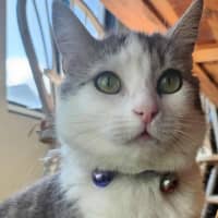 Photo of Penelope