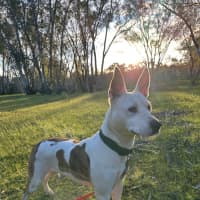 Photo of Quilla