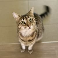 Photo of Kizzie