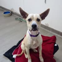 Photo of Maggie