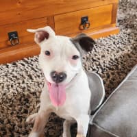 Photo of Solar (67646)