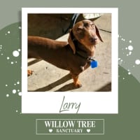 Photo of Larry